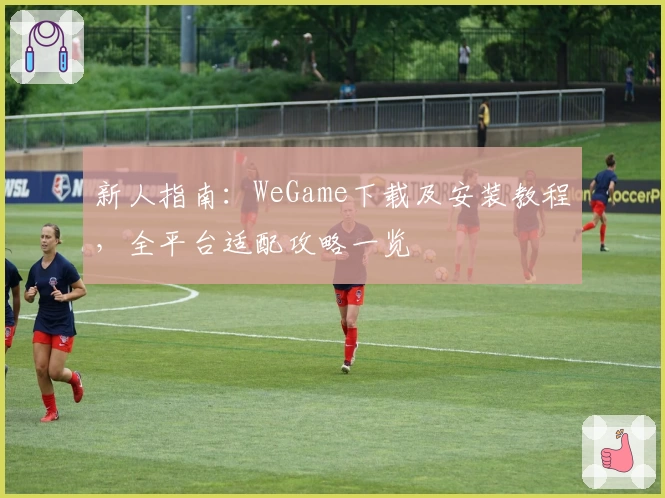 新人指南：WeGame下载及安装教程，全平台适配攻略一览