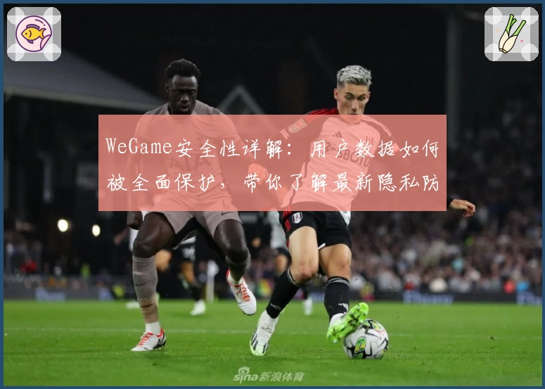 WeGame安全性详解：用户数据如何被全面保护，带你了解最新隐私防护措施