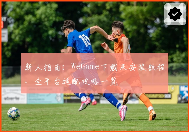 新人指南：WeGame下载及安装教程，全平台适配攻略一览