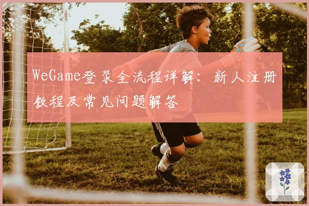 WeGame登录全流程详解:新人注册教程及常见问题解答