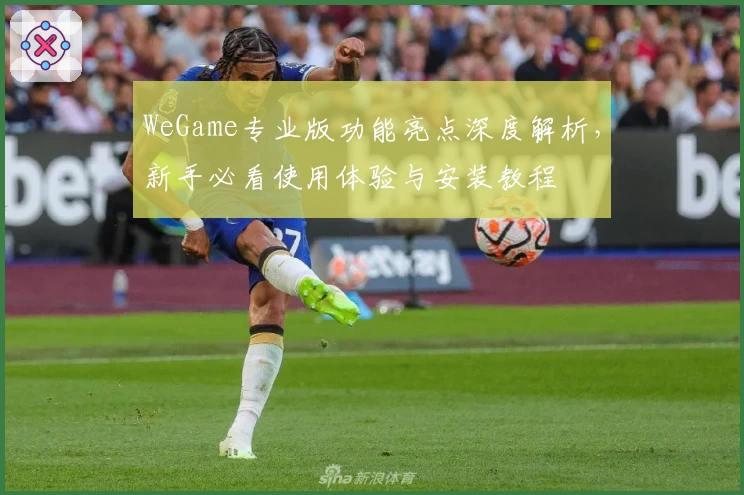 WeGame专业版功能亮点深度解析，新手必看使用体验与安装教程